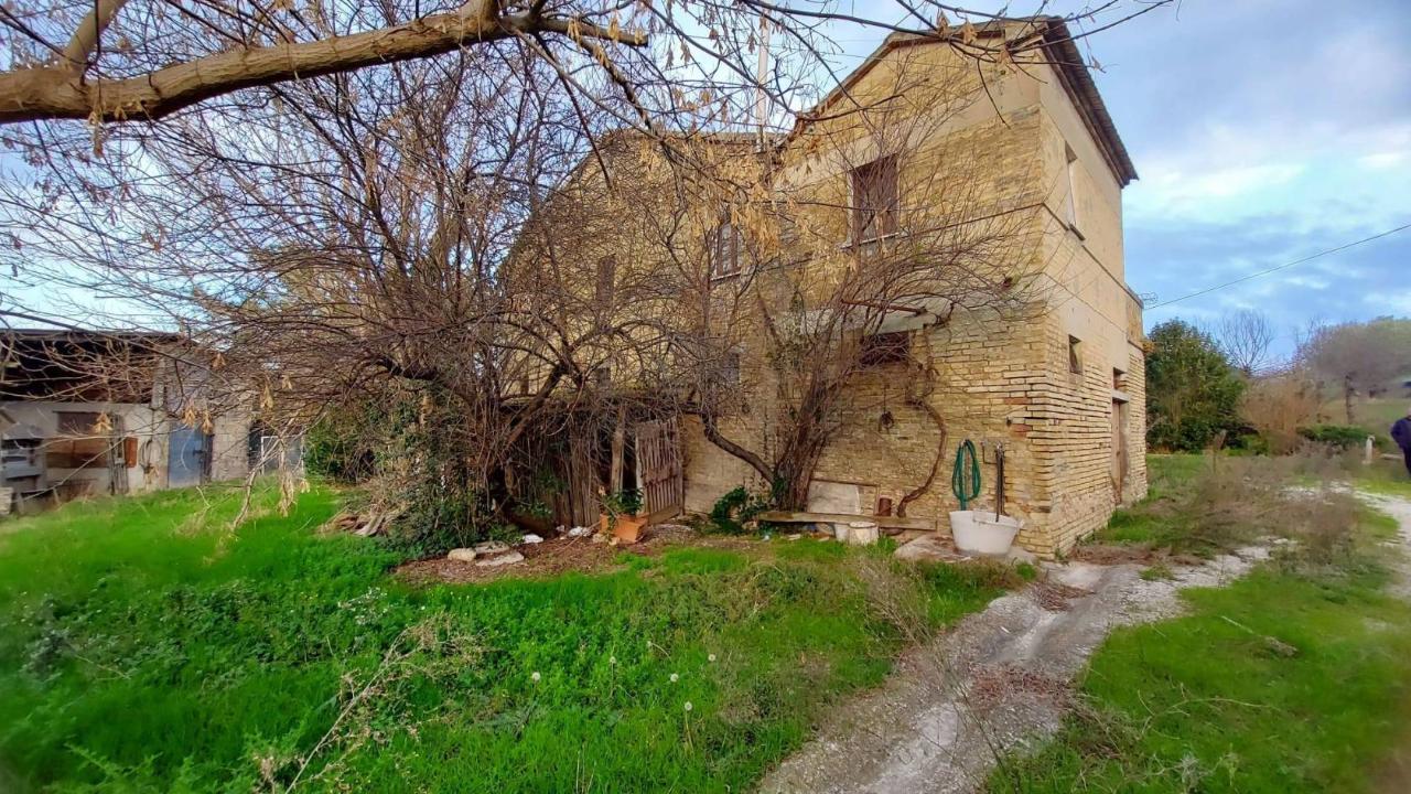 immagine annuncio 1 di 8