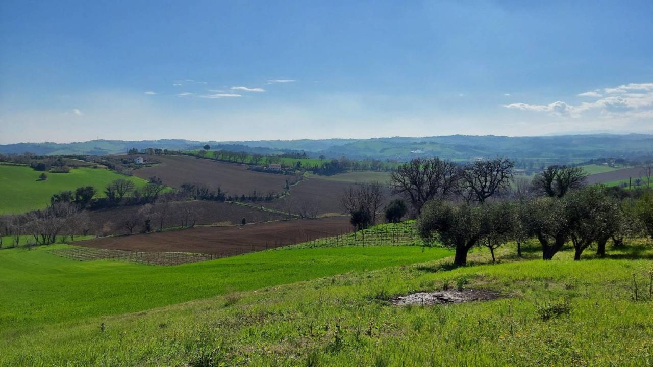 immagine annuncio 9 di 12