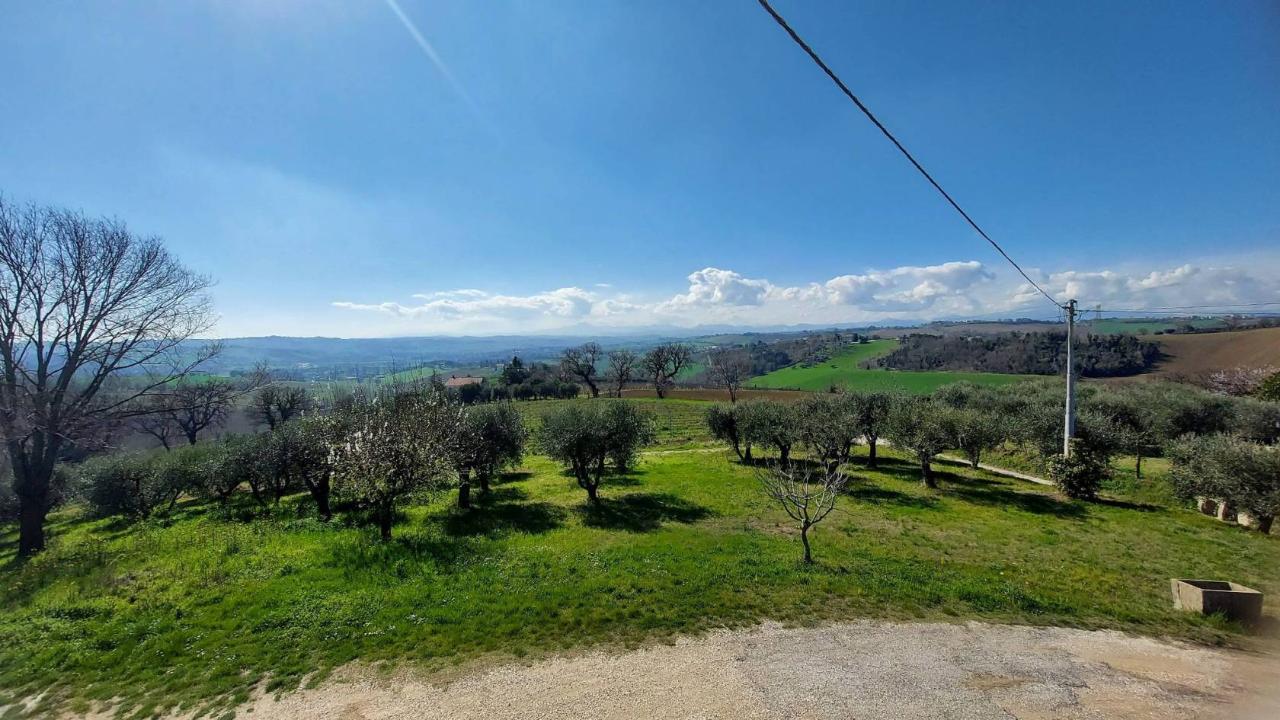 immagine annuncio 8 di 12