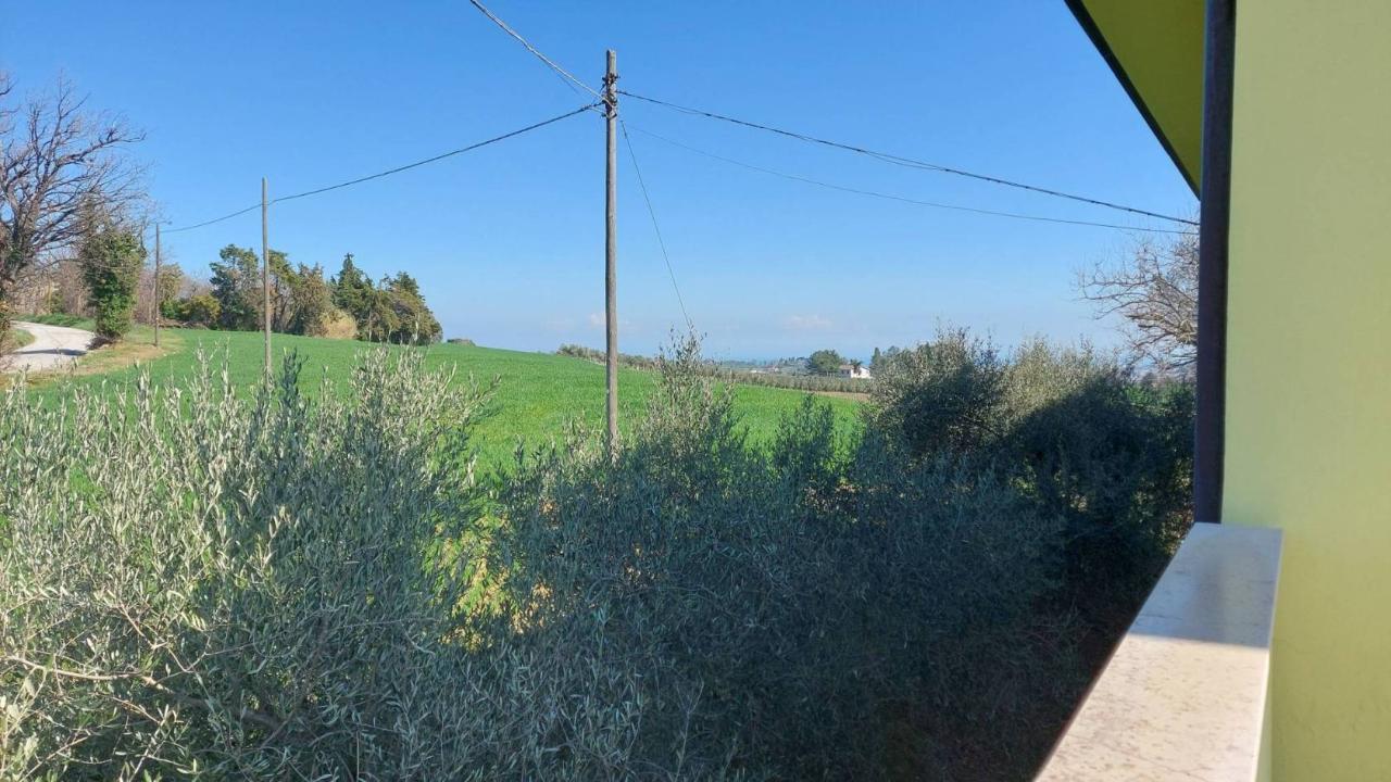 immagine annuncio 5 di 12