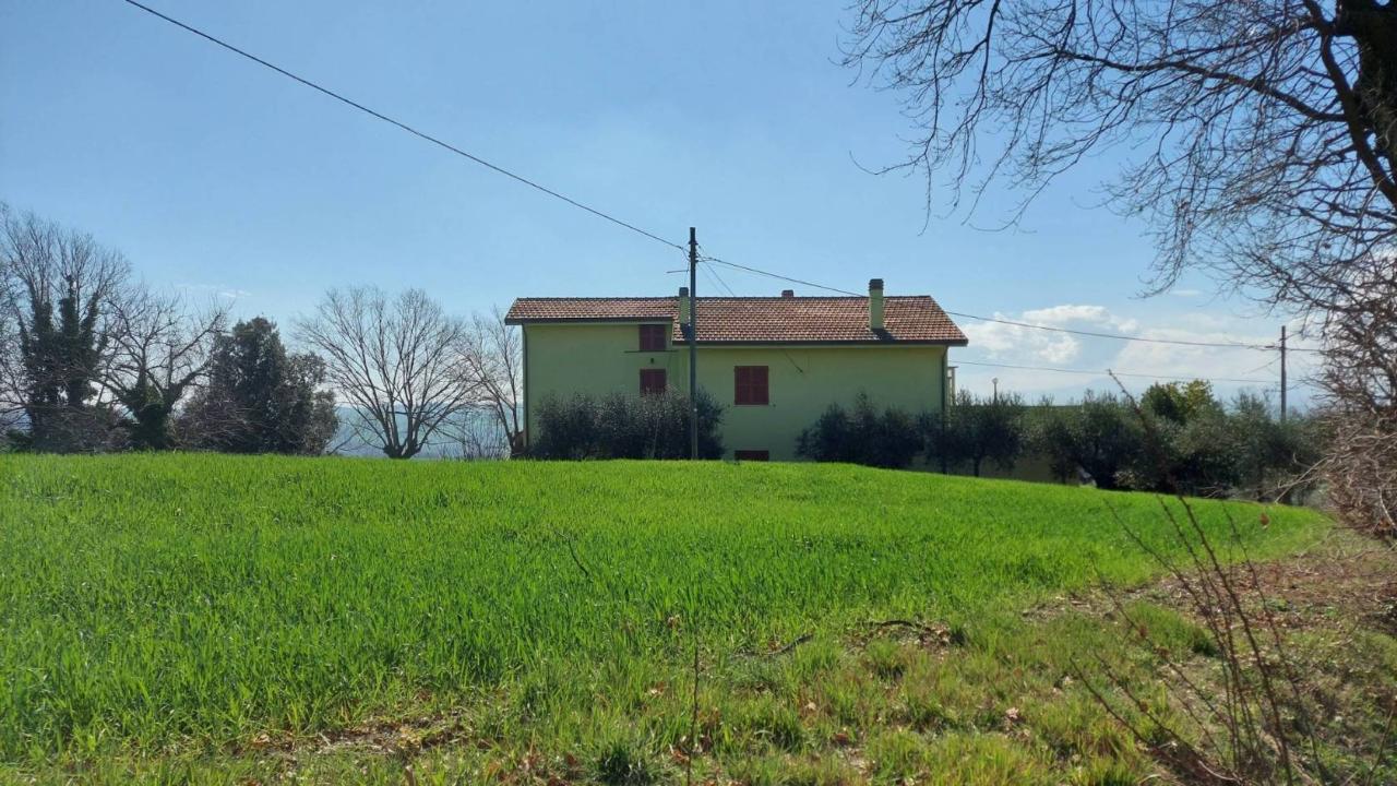 immagine annuncio 10 di 12