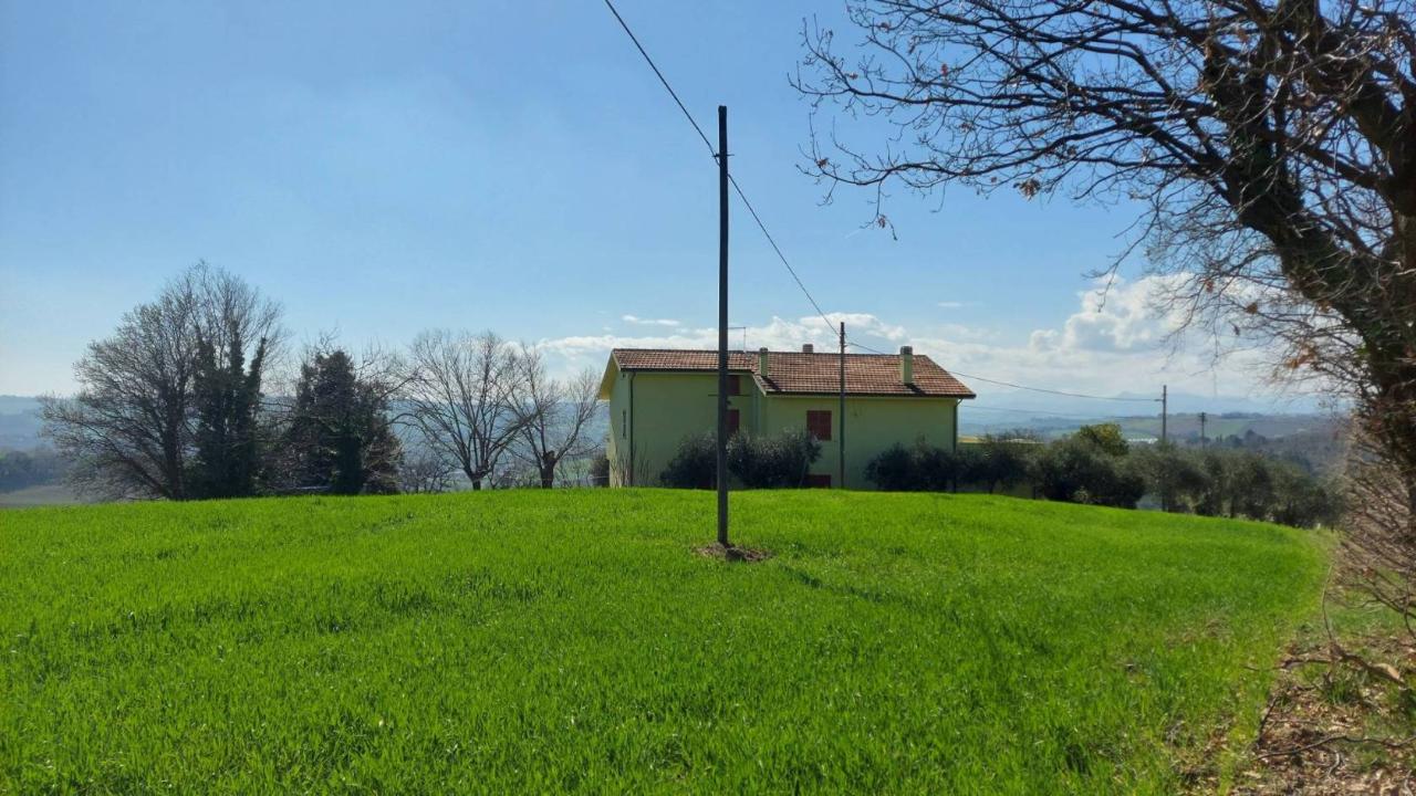 immagine annuncio 11 di 12