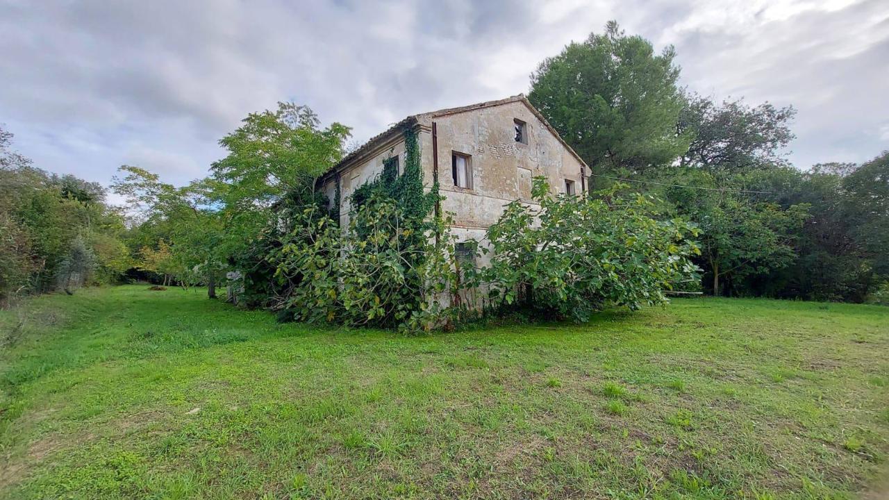 immagine annuncio 4 di 8