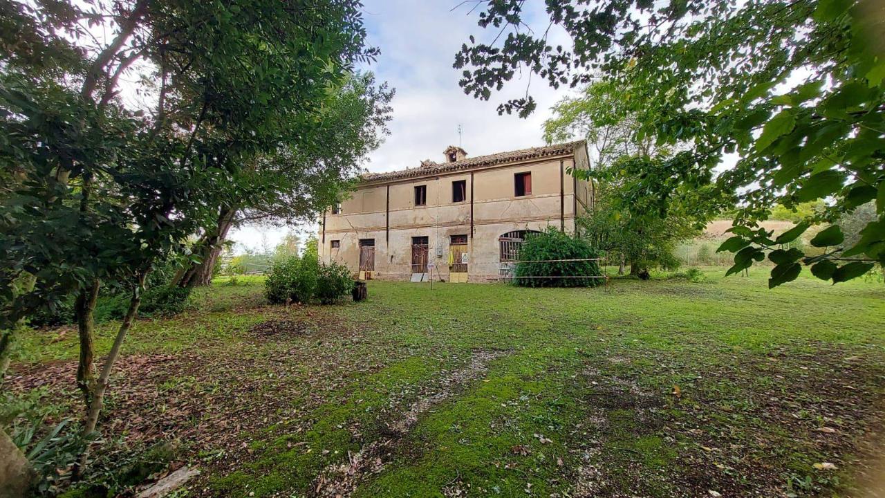 immagine annuncio 2 di 8