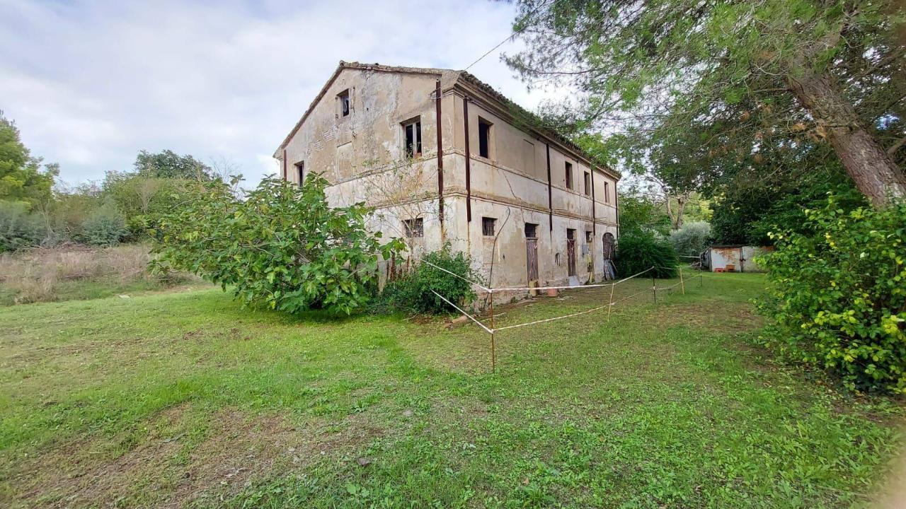 immagine annuncio 3 di 8