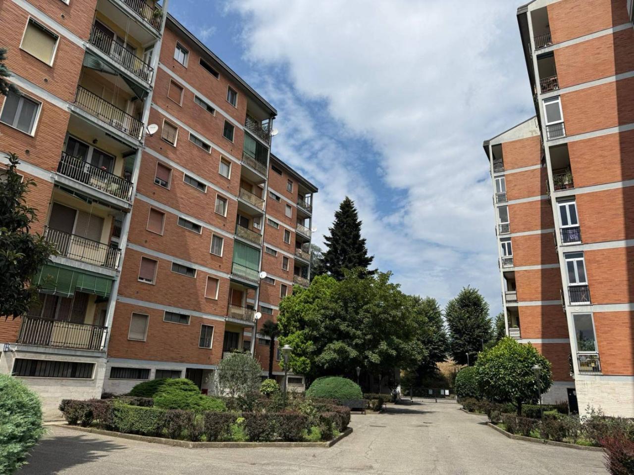 immagine annuncio 10 di 13