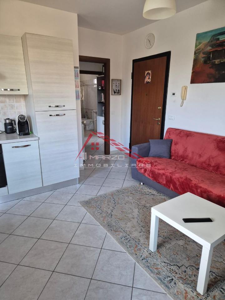 immagine annuncio 1 di 13