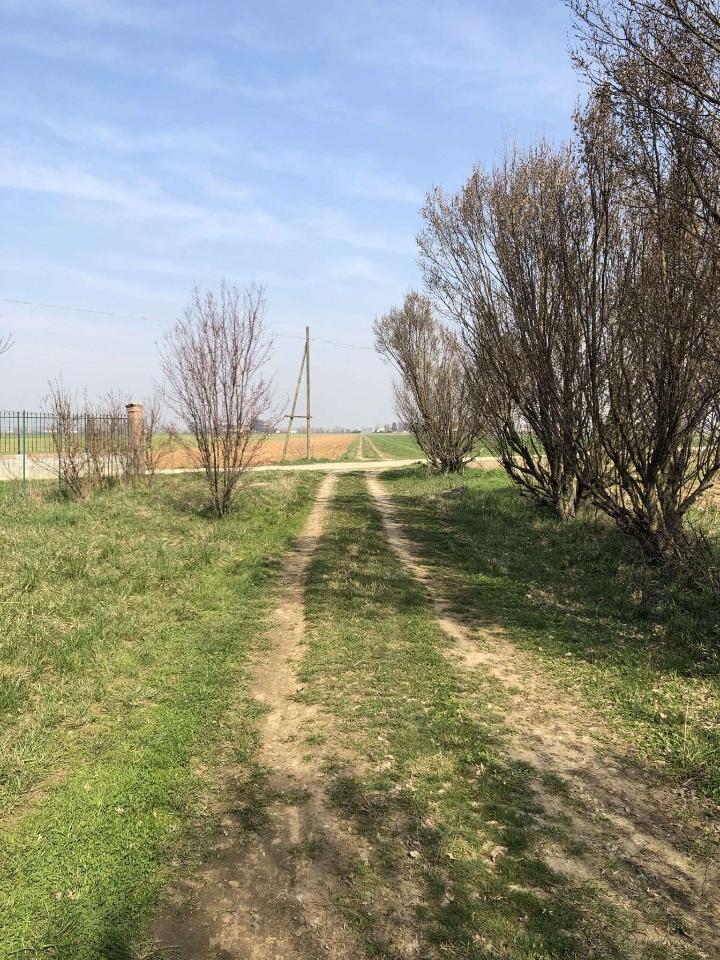 immagine annuncio 12 di 13
