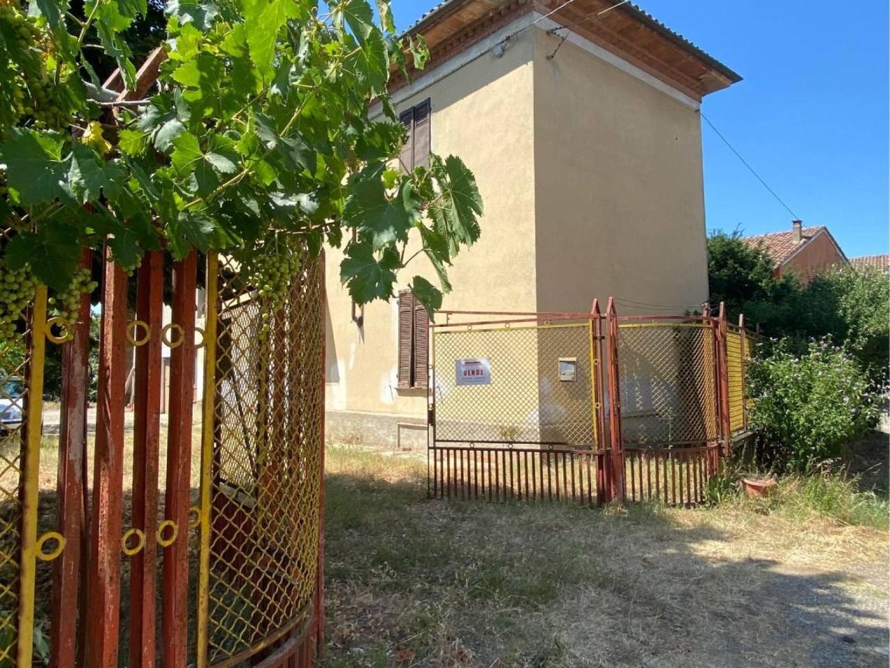 immagine annuncio 3 di 14