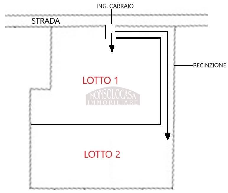 immagine annuncio 3 di 4