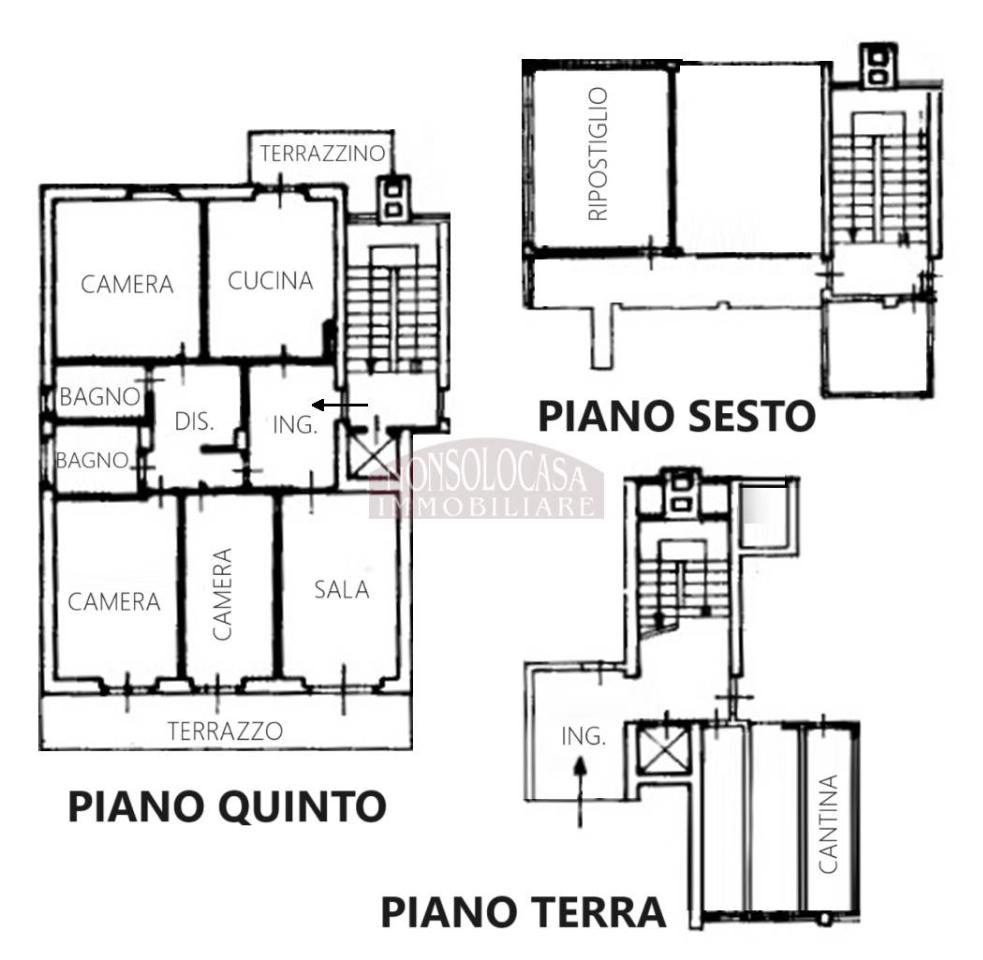 immagine annuncio 9 di 15
