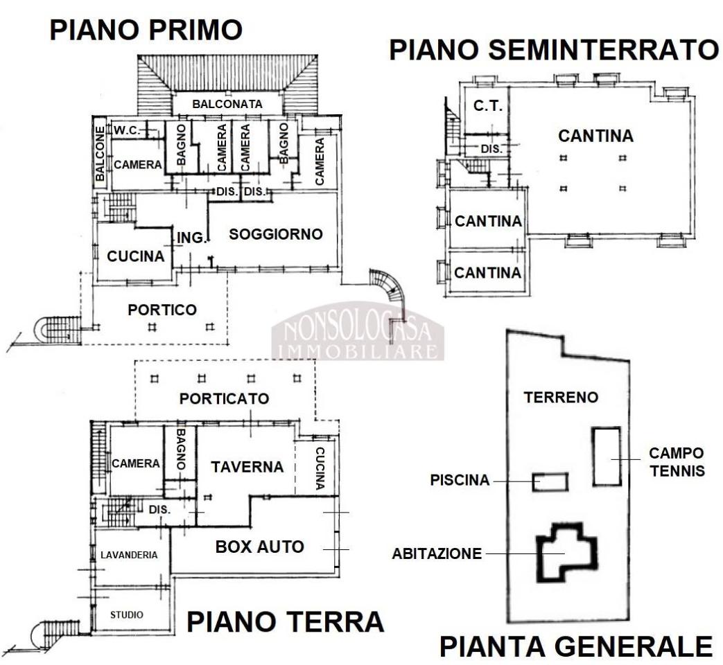immagine annuncio 9 di 15