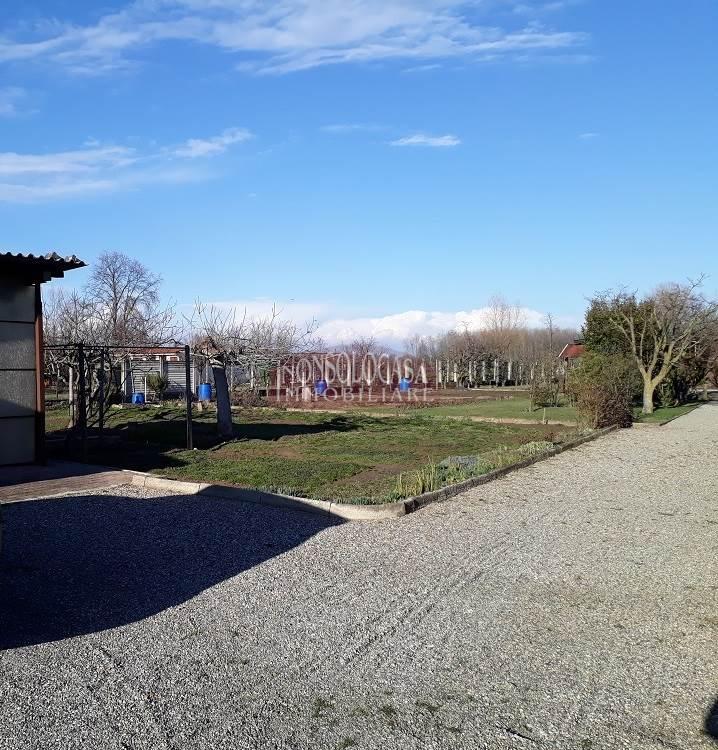 immagine annuncio 8 di 11