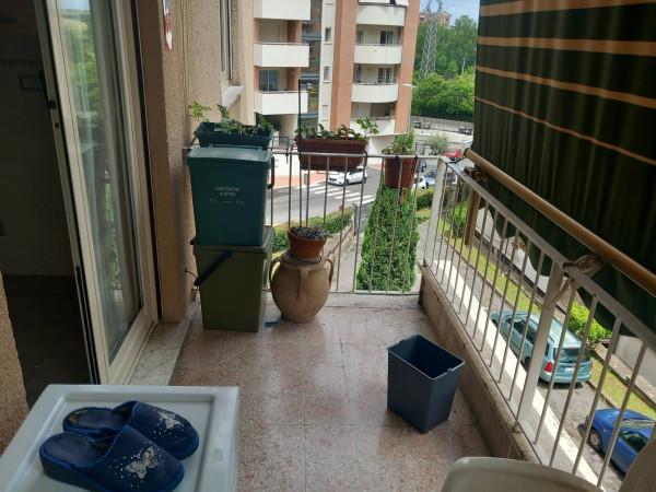 immagine annuncio 9 di 12