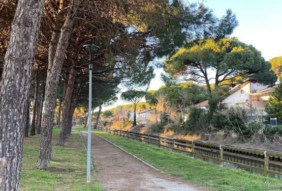 immagine annuncio 12 di 14