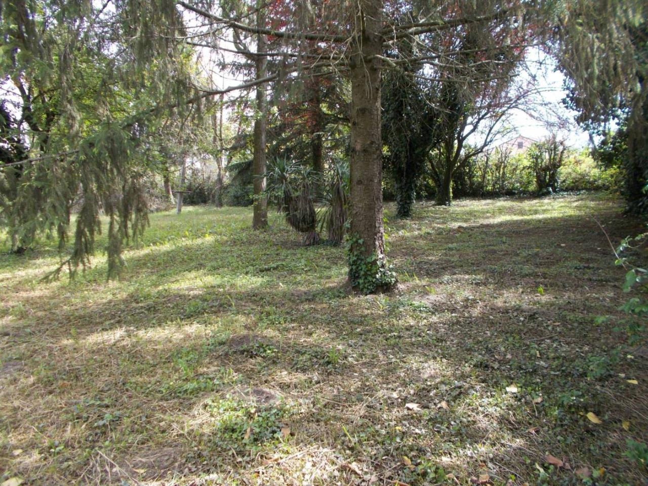 immagine annuncio 3 di 11