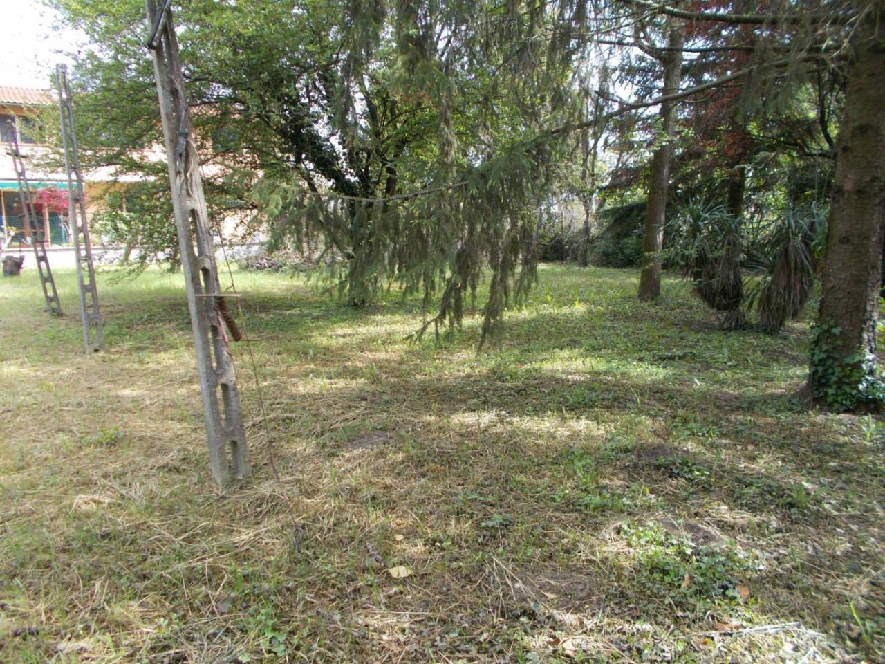 immagine annuncio 5 di 11