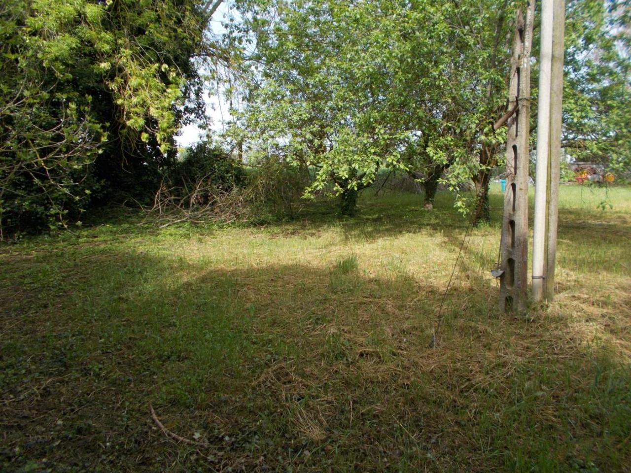 immagine annuncio 6 di 11