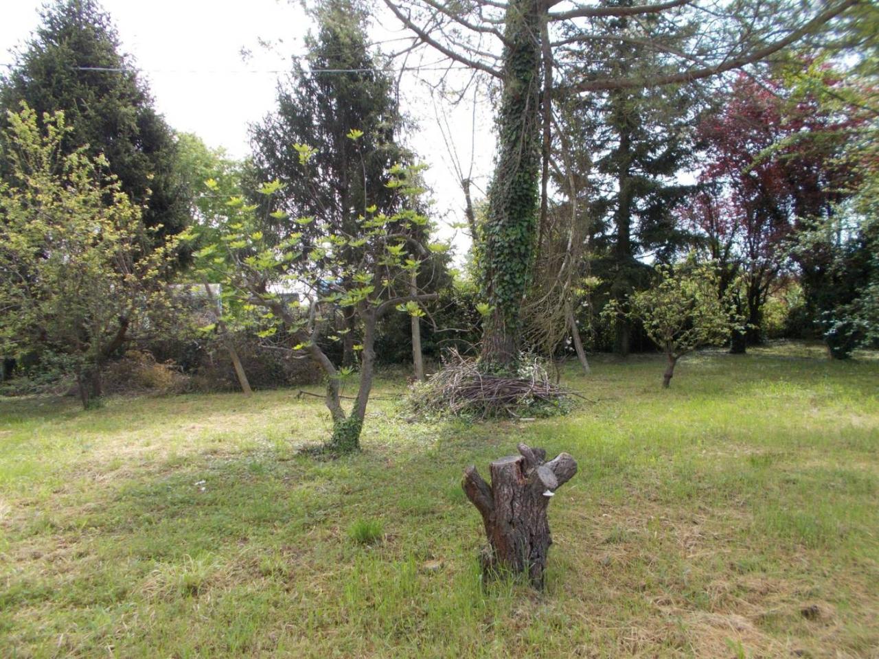 immagine annuncio 1 di 11