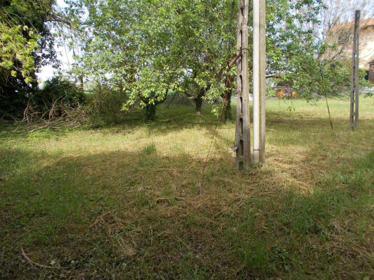 immagine annuncio 9 di 11