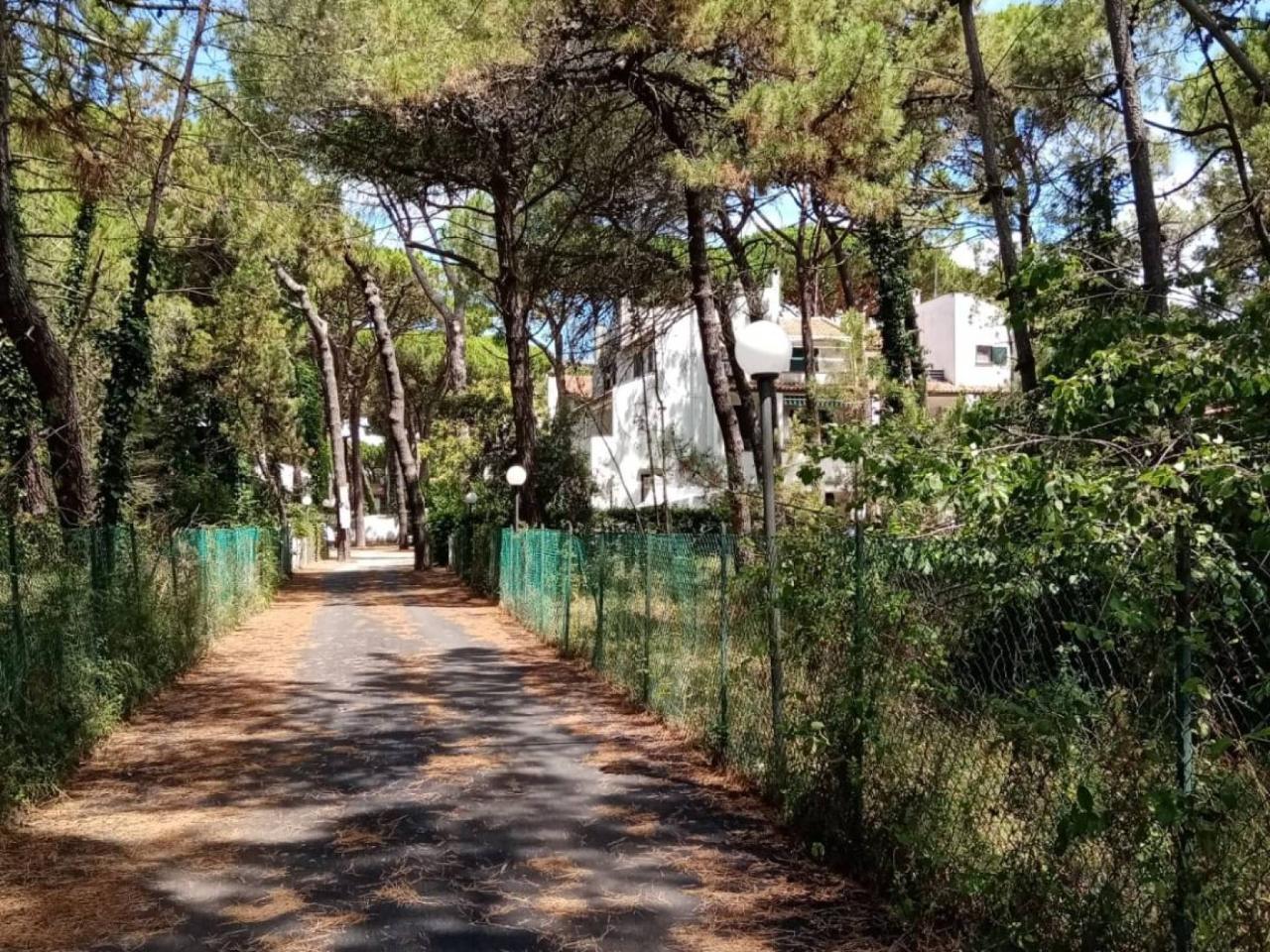 immagine annuncio 11 di 12