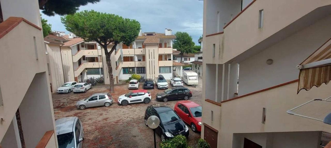 immagine annuncio 12 di 14