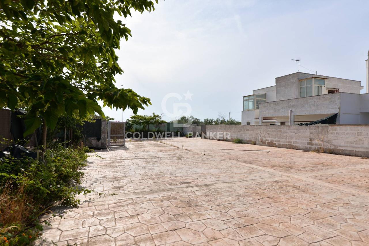 immagine annuncio 11 di 14