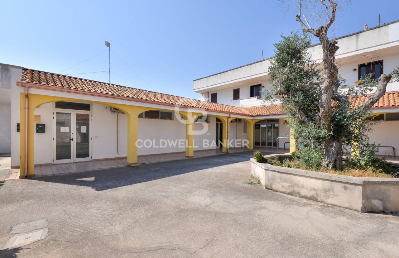 Negozio in Via Alcide De Gasperi 201, Carpignano Salentino, {3} - Foto 1