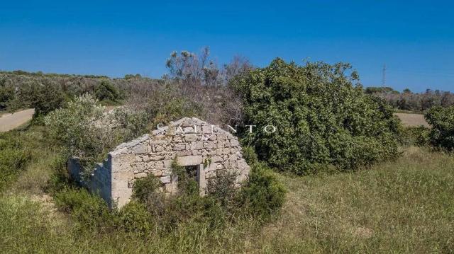 Rustico in Strada Vicinale Terramascia, Salve - Foto 1