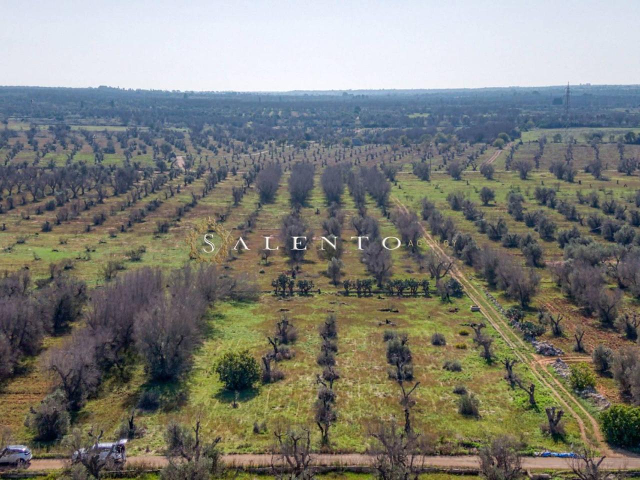 Terreno agricolo in vendita a Ugento