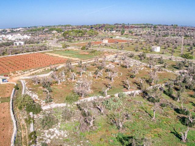 Terreno agricolo in {3}, Strada Provinciale Presicce Morciano Gagliano del Capo - Foto 1