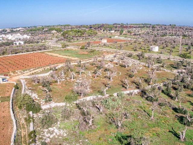 Agricultural land in {3}, Strada Provinciale Presicce Morciano Gagliano del Capo - Photo 1