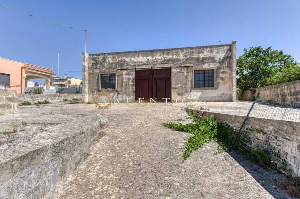 Magazzino in Corso Italia 106, Morciano Di Leuca, {3} - Foto 2