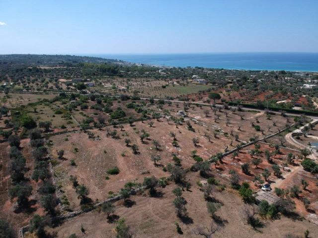 Terreno edificabile in Strada Comunale Primo Pali, Salve - Foto 1