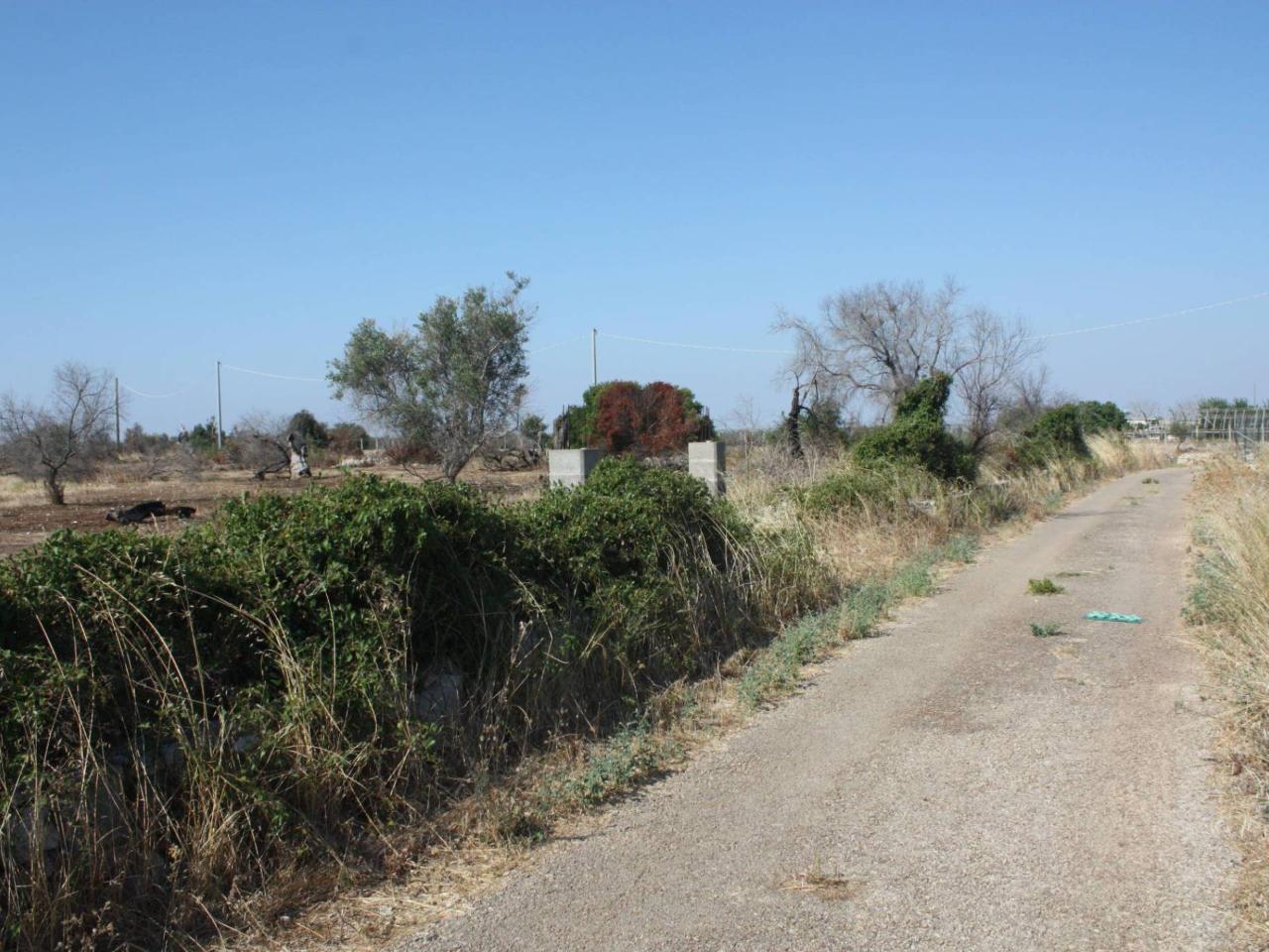 Terreno agricolo in vendita a Ugento