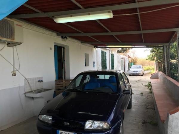 immagine annuncio 4 di 14