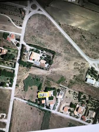 immagine annuncio 11 di 14