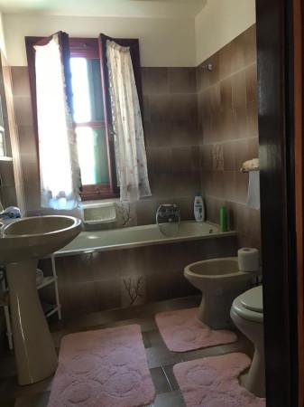 immagine annuncio 8 di 14