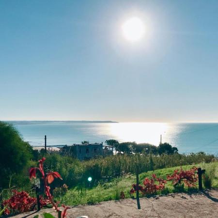 immagine annuncio 5 di 14