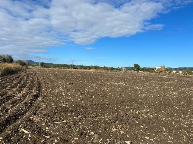 Terreno agricolo, Siracusa - Foto 1