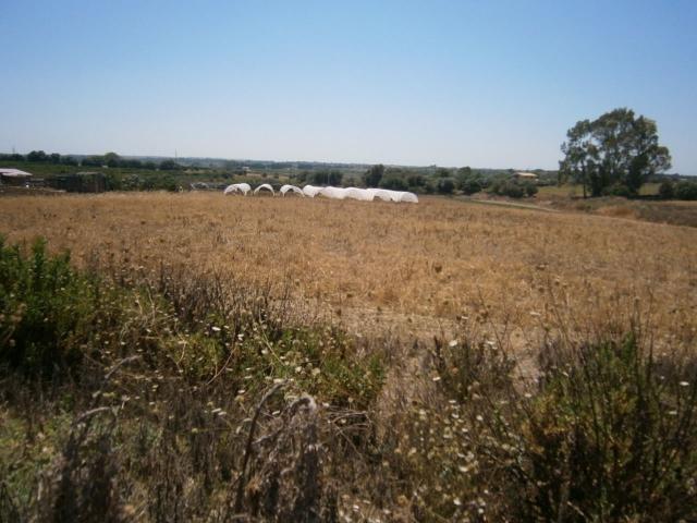 Terreno agricolo, Siracusa - Foto 1