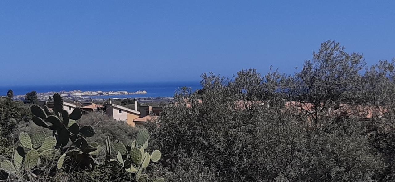 immagine annuncio 11 di 14