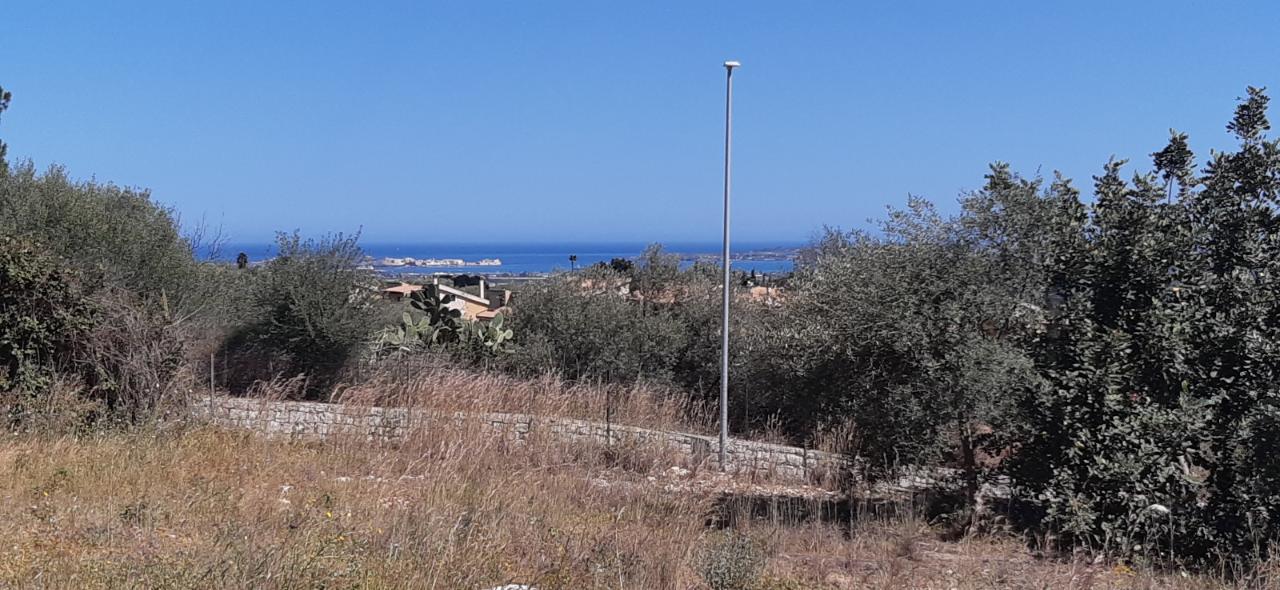 immagine annuncio 6 di 14