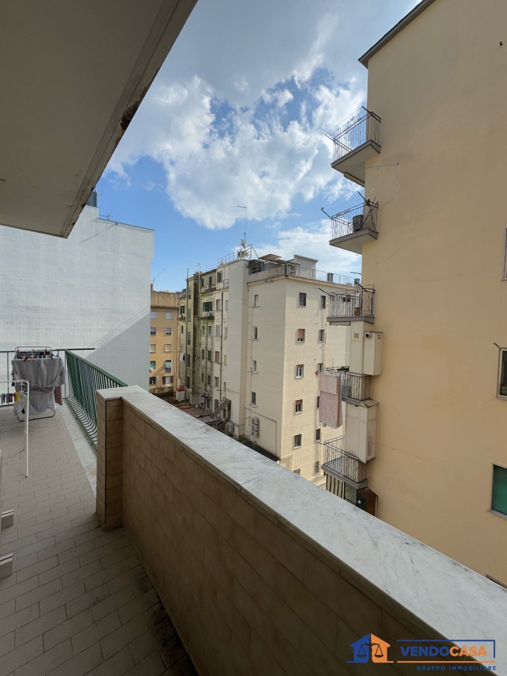 immagine annuncio 3 di 14