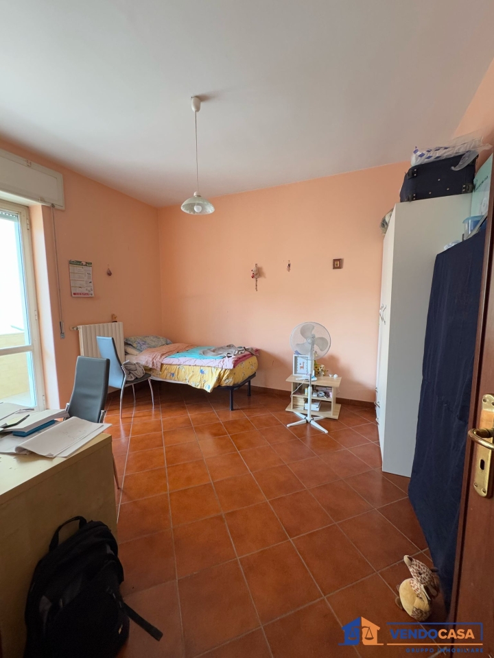 immagine annuncio 4 di 14