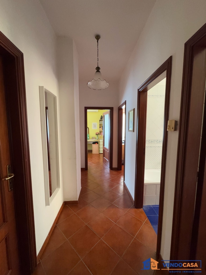 immagine annuncio 6 di 14