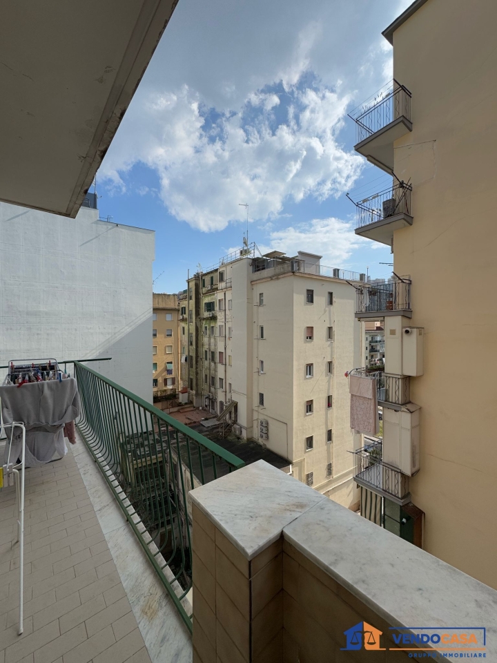 immagine annuncio 12 di 14