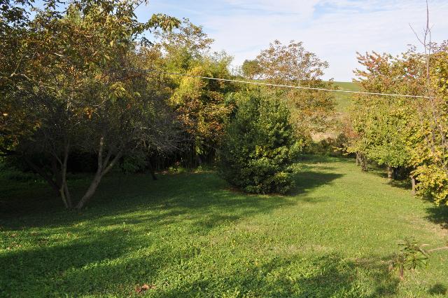 Terreno edificabile in Via Ricò 40, Felino - Foto 1