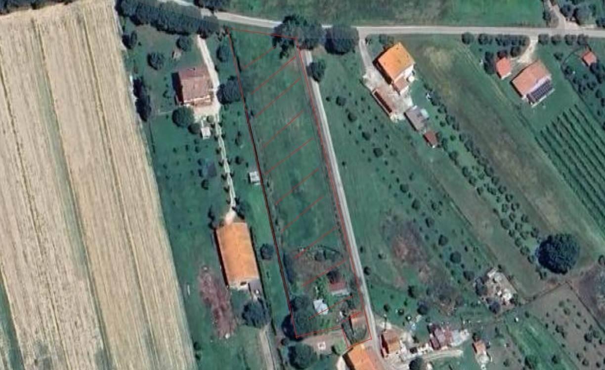 immagine annuncio 13 di 14