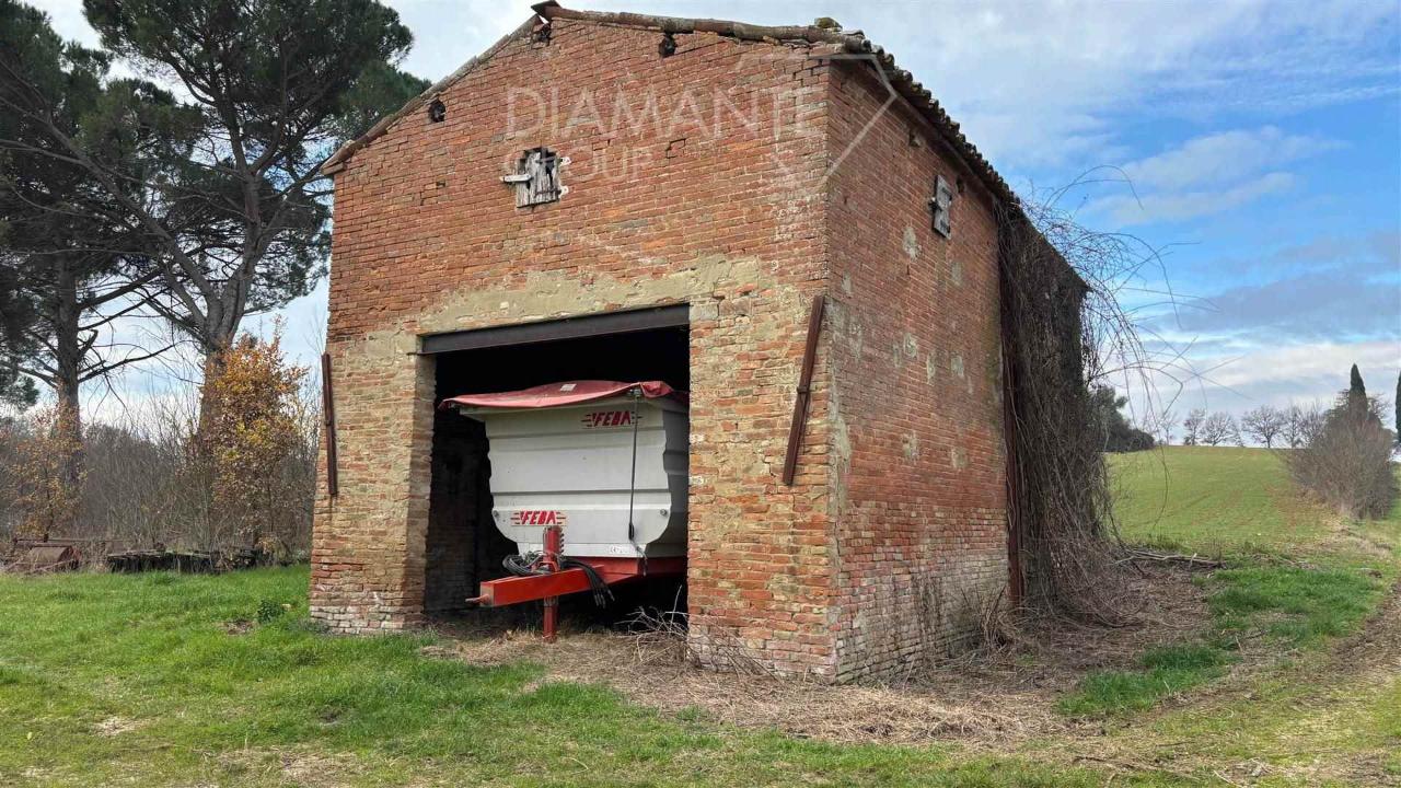immagine annuncio 4 di 14